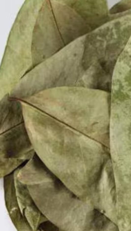Soursop leaves